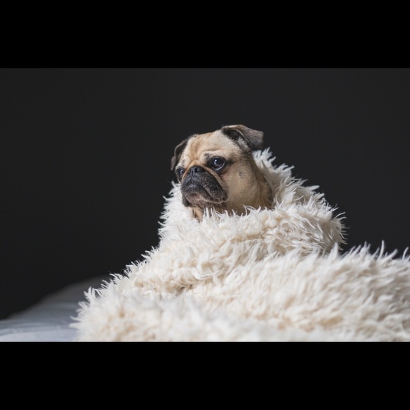 Fast shipping usually same day. Make offers - Picture 2 of 2